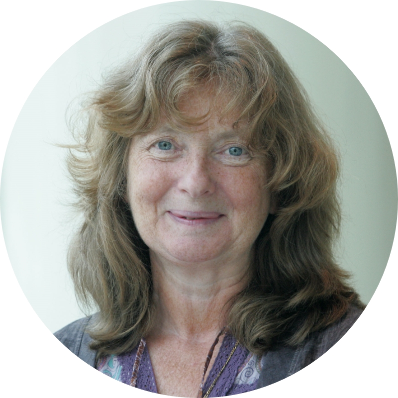 Ann Cullinane expert OIE Encouraging dialogue between experts