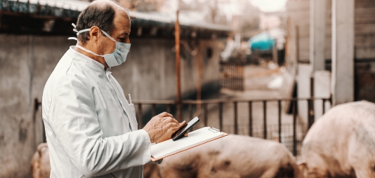 De meilleures données pour une meilleure santé animale